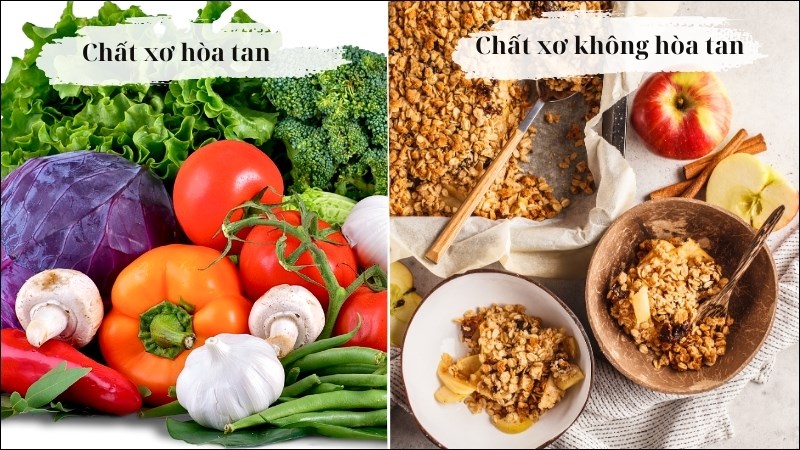 Thiếu Chất Xơ Sẽ Bị Gì? Hiểu Biết và Cách Bổ Sung Hiệu Quả