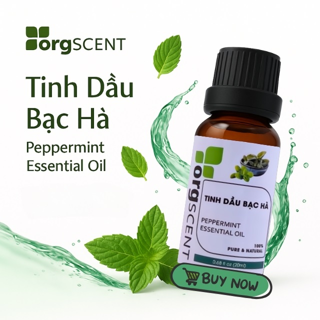Tinh dau bac ha ho tro giac ngu
